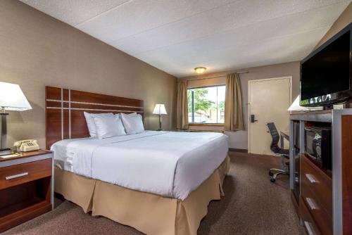瓦恩兰葡萄园戴斯汽车旅馆的酒店客房设有一张大床和一台电视。