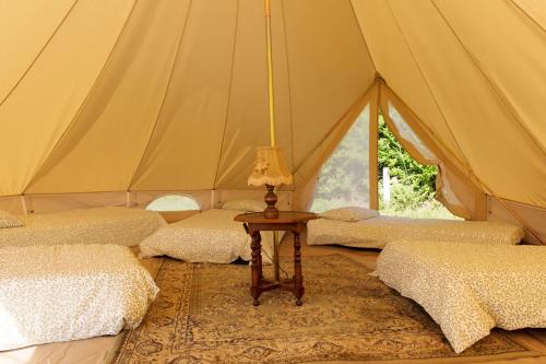 卡布勒通Aparra Surfcamp Capbreton的帐篷配有四张床和一张带台灯的桌子