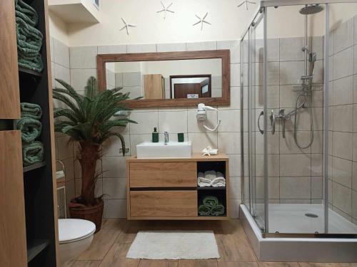 弗瓦迪斯瓦沃沃APARTAMENT CONCORDIA的浴室配有盥洗盆和带镜子的淋浴