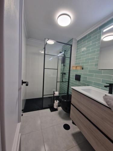 圣佩德罗-德尔皮纳塔尔Casa del Sol的浴室配有卫生间、盥洗盆和淋浴。