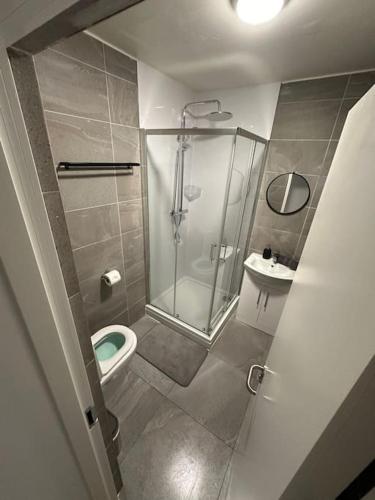 都柏林Central & Spacious Centre Apt的带淋浴、卫生间和盥洗盆的浴室