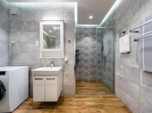 巴拉顿凯奈谢Master Resorts的一间带水槽和淋浴的浴室
