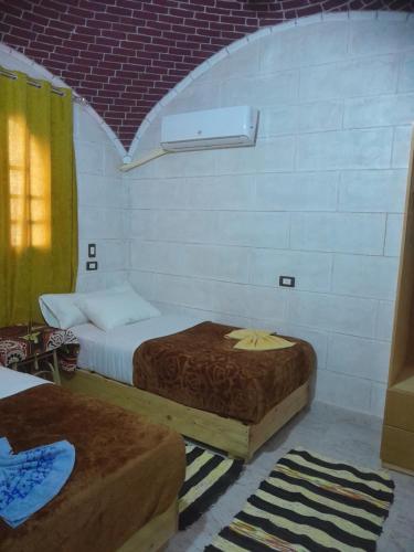 阿斯旺Kashta Guest House & Hostel的一间设有两张床铺的客房,位于一个墙上