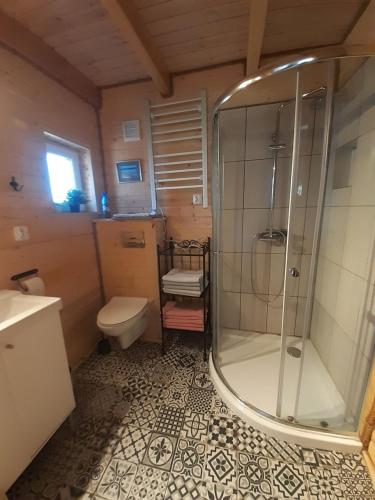 KarsinQubalonka Saunarium bis Bory Tucholskie的带淋浴和卫生间的浴室