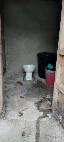 邦劳YFS Native Backpackers Inn的一间脏浴室,内设卫生间和垃圾桶