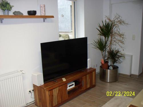柏林Villa Rogge的客厅的木架上配有平面电视
