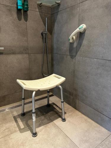 NeedeB&B Borgersteeg的浴室内配有带凳子的淋浴