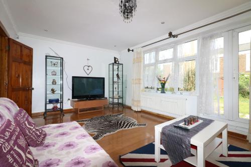 伦敦3 Bedroom House-Garden-Stratford-Olympic Park的带沙发和电视的客厅