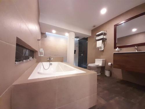 巴尼奥斯593 Hotel Boutique Baños的一间带大浴缸和卫生间的浴室