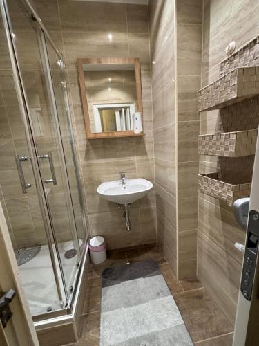 维也纳Golden’s Apart-Hotel的一间带水槽和淋浴的浴室