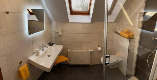 DollenchenGasthaus Stuckatz的一间带水槽和淋浴的小浴室