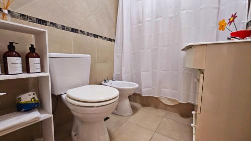 布宜诺斯艾利斯Miller y Olazábal的一间带卫生间和淋浴帘的浴室