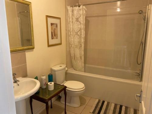 斯塔利桥Jacks Court B1的浴室配有卫生间、盥洗盆和淋浴。