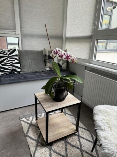 捷尔诺波尔Стильна чудова квартира в місті Тернопіль的客厅里摆放着植物的桌子