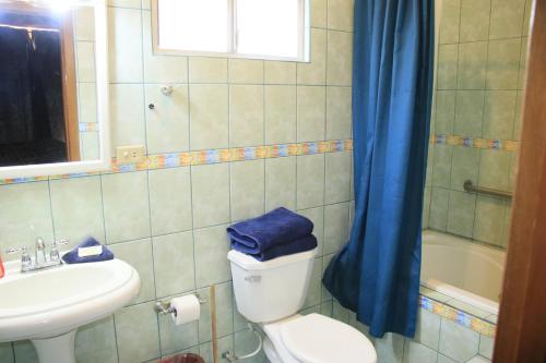 圣费利佩Cali's Baja Condos的浴室设有卫生间、水槽和蓝色的浴帘
