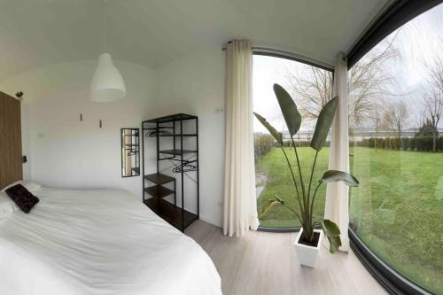 诺雅Casita invitados con jardín y piscina compartidos的一间卧室设有一张床和一个大窗户