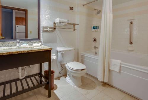 Hayti杜里海蒂卡拉瑟斯维尔酒店的浴室配有卫生间、浴缸和水槽。