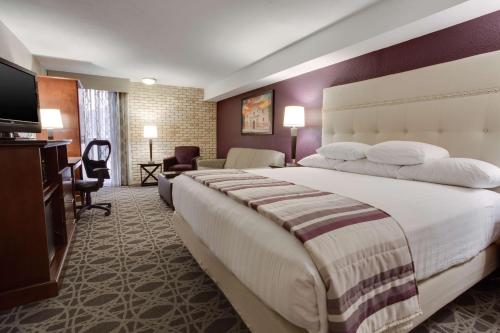 圣安东尼奥Drury Plaza Hotel San Antonio Airport的酒店客房设有一张大床和一台电视。