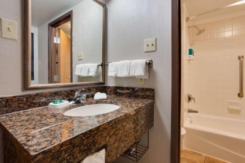 圣安东尼奥Drury Plaza Hotel San Antonio Airport的浴室配有盥洗盆、镜子和浴缸