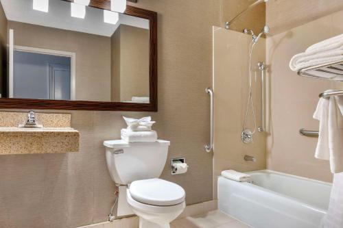 丹伯里Comfort Inn & Suites Danbury-Bethel的一间带卫生间、水槽和镜子的浴室