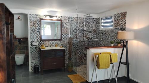 圣安尼Les Coulirooms - Gîte的浴室配有盥洗盆和带镜子的淋浴
