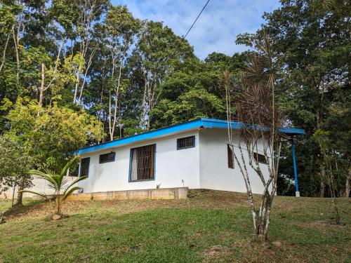 TirimbinaLoma Linda Sarapiquí Casa Nueva NEW HOUSE 3bed/2bath的蓝色屋顶的白色房子