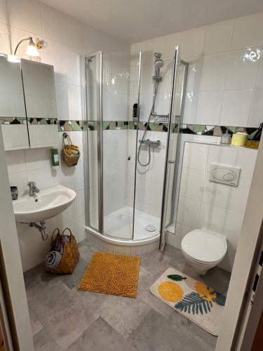 AltenbergBrauner Bär的带淋浴、卫生间和盥洗盆的浴室