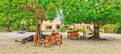 DaanbantayanCRISOLS BEACH RESORT - MALAPASCUA ISLAND的一组椅子坐在树下