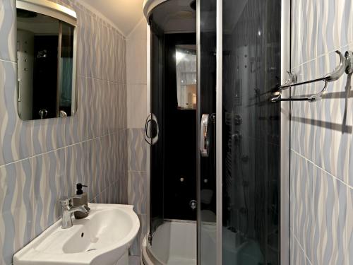 特尔古穆列什I'm Lovin' It - Ultracentral Apartment with City Views的一间带水槽和淋浴的浴室