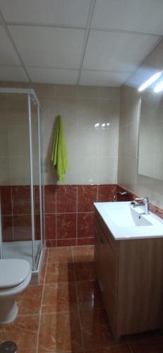 比卡尔Estudio en Envía Golf Bello Rincón Paz y Vistas的浴室配有卫生间、盥洗盆和淋浴。