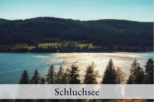 施卢赫湖Apartment Seelenruhe Schluchsee 1的相册照片