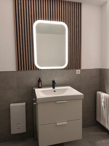 罗拉赫索捏茨卡度假公寓的浴室设有白色水槽和镜子