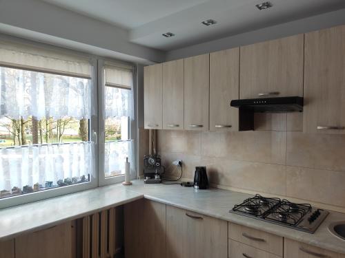 奥尔什丁Apartament Familijny的厨房配有木制橱柜、水槽和窗户。