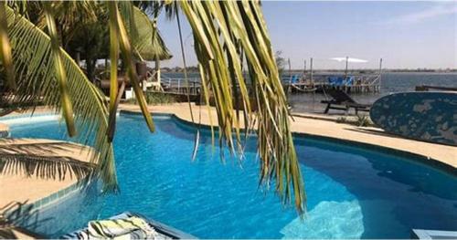 GuilorFagapa Lodge的蓝色的游泳池,旁边是棕榈树