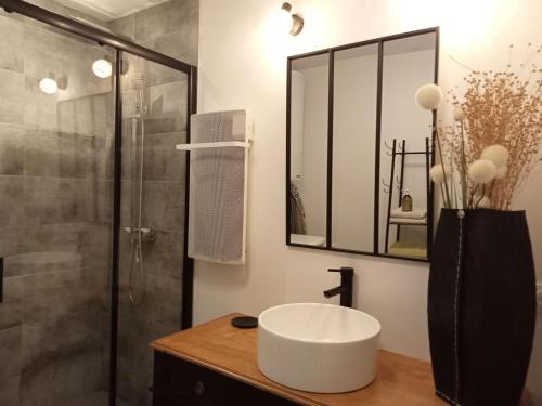 孔卡尔诺appartement topaze的一间带水槽和淋浴的浴室
