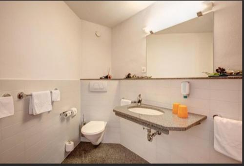 弗劳恩费尔德Work Life Residence by Frauenfeld的一间带水槽、卫生间和镜子的浴室