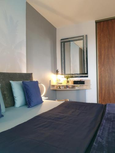 贝济耶Studio independant Non Fumeur 38m2 calme, confort的一间卧室配有一张带蓝色枕头和镜子的床