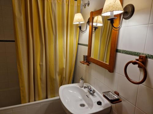 索斯-德尔雷卡托利科Casona Rey Fernando的一间带水槽和淋浴帘的浴室