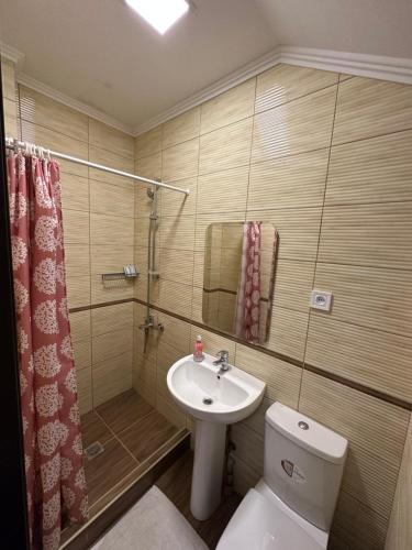 ReniКолібрі的浴室配有卫生间、盥洗盆和淋浴。