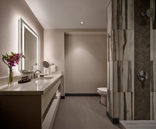 多伦多Great Canadian Casino Resort Toronto的一间带水槽、卫生间和镜子的浴室