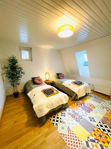 拉赫蒂Kaunis kattohuoneisto Lahden keskustassa的一间客房内配有两张床的房间