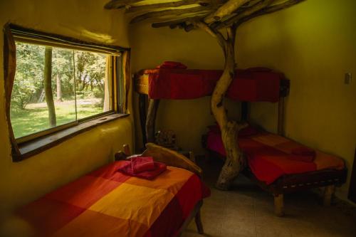 巴克罗斯Killa Sumaj casas的客房设有两张双层床和一扇窗户。