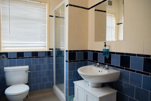 SnaithThe Plough Inn的蓝色瓷砖浴室设有卫生间和水槽