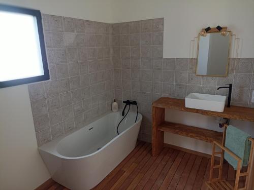 佩皮尼昂Grande maison de vacances的带浴缸和盥洗盆的浴室