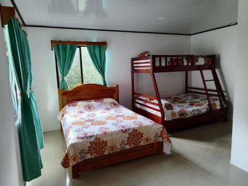 希门尼斯港Casa Osa Azul的一间卧室设有两张双层床和一扇窗户。