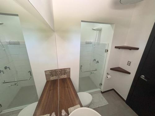 利比里亚Amazilia Guesthouse的一间带卫生间和淋浴的浴室
