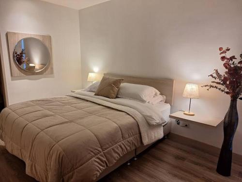 马尼萨莱斯Apartamento Manizales II的一间卧室配有一张大床和镜子