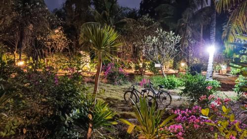 吉利阿尔阿南达住宿加早餐旅馆的一群自行车在晚上停在花园里