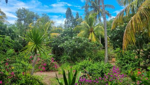 吉利阿尔阿南达住宿加早餐旅馆的种有粉红色花卉和棕榈树的花园