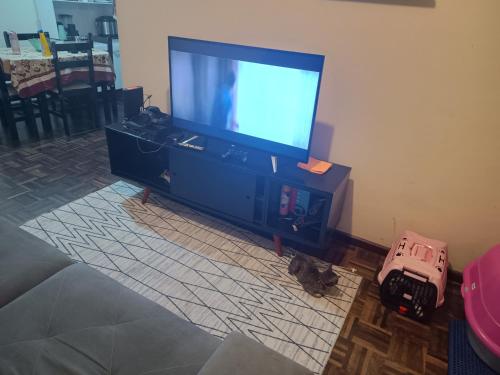 库里提巴Axel costa的一只猫躺在电视前的地板上
